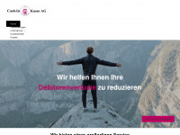 cash-in.ch Webseite Vorschau