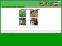 cassava.ch Webseite Vorschau