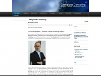 castiglione-consulting.de Webseite Vorschau
