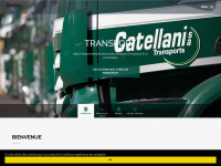 catellani.ch Webseite Vorschau