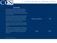 ccsservices.ch Webseite Vorschau