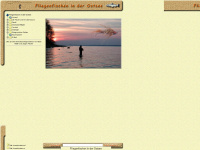cdj-fischer.de Webseite Vorschau