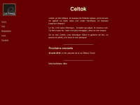 celtok.ch Webseite Vorschau