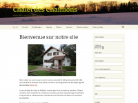 chainions.ch Webseite Vorschau