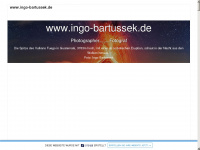 ingo-bartussek.de Webseite Vorschau