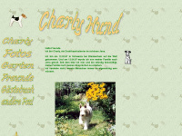 charlyhund.de Webseite Vorschau