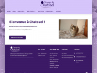chatssel.ch Webseite Vorschau