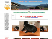 chihuahua-tirol.at Webseite Vorschau