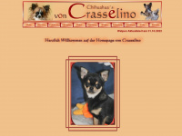 chihuahua-von-crasselino.de Webseite Vorschau
