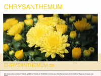 chrysanthemum.de Webseite Vorschau
