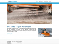 cityschnee.at Webseite Vorschau