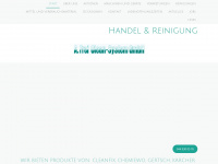 clean-system.ch Webseite Vorschau
