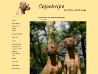 cojochripa.de Webseite Vorschau