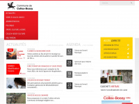 collex-bossy.ch Webseite Vorschau