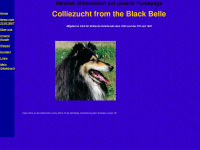 collies-from-the-black-belle.de