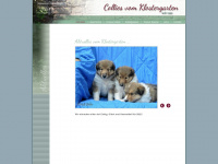 collies-vom-klostergarten.de Webseite Vorschau