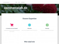 commercelab.de Webseite Vorschau