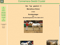 connemara-crystal.de Webseite Vorschau