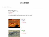 talix.net Webseite Vorschau