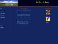 coolia-quax.de Webseite Vorschau