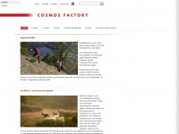 cosmosfactory.at Webseite Vorschau