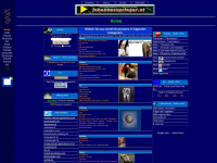 johannesspringer.at Webseite Vorschau