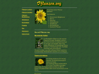 pflanzen.org Webseite Vorschau