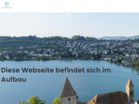 csimmobilien.ch Webseite Vorschau