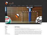 csv-planitz.de Webseite Vorschau