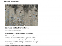 platformlichthinder.nl Webseite Vorschau