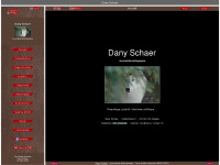 dany-schaer.ch Webseite Vorschau