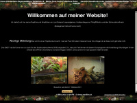 danys-reptilien.ch Webseite Vorschau