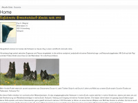 darkwolfe.ch Webseite Vorschau