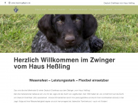 dd-vom-haus-hessling.de Thumbnail
