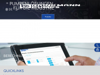 brinkmannpumps.de Webseite Vorschau
