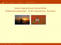 qi-gong-schule.de Webseite Vorschau