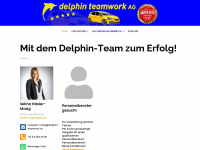 delphin-teamwork.ch Thumbnail