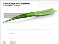 dermatologie-am-gaenseliesel.de Webseite Vorschau