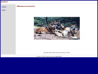 dewolf.ch Webseite Vorschau