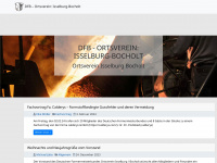 dfb-ib.de Webseite Vorschau