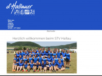 dhallauer.ch Webseite Vorschau