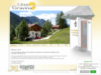 cesagravina.com Webseite Vorschau