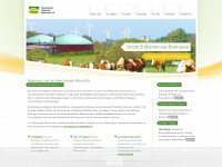 biomasse-freiberg.de Webseite Vorschau