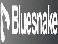 bluesnake.de Webseite Vorschau