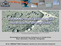 dime-nanoversiegelung.de Webseite Vorschau