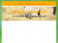 dittli-pferdestall.ch Webseite Vorschau