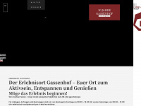gassenhof.com Webseite Vorschau