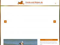 hunde-und-welpen.de Webseite Vorschau