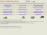mollusca.net Webseite Vorschau
