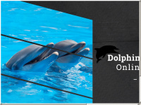 Dolphin-web-solutions.de